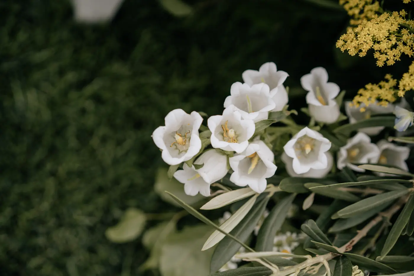 Flores sencillas para Boda Pequeña